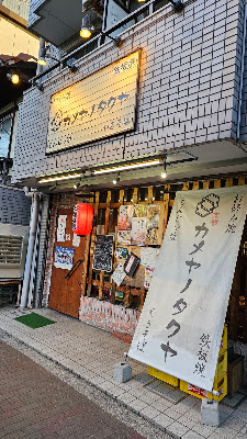 カメヤノタクヤ 사진 4