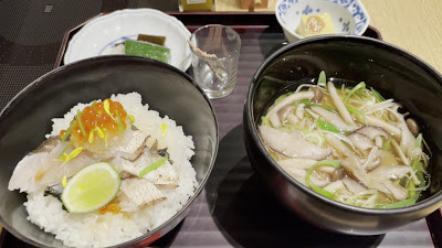 하시타테 사진 2