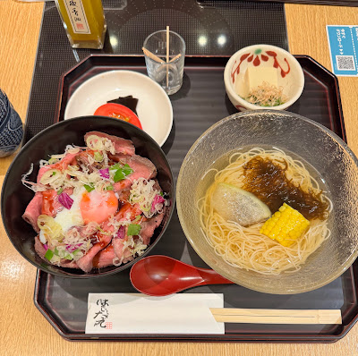 하시타테 사진 4