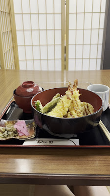 아다시노 사진 2