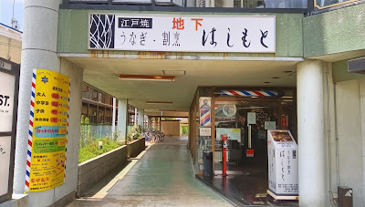 Hashimoto