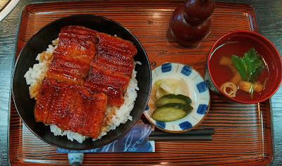 Hashimoto 사진 3