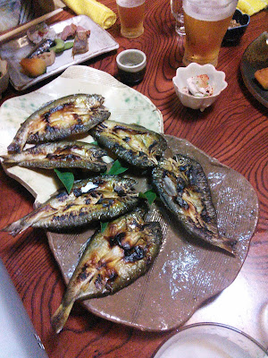駿 사진 4
