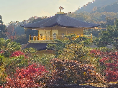 금각사 사진 4