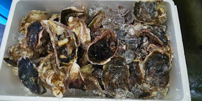 海の京都 魚・魚・魚 사진 3