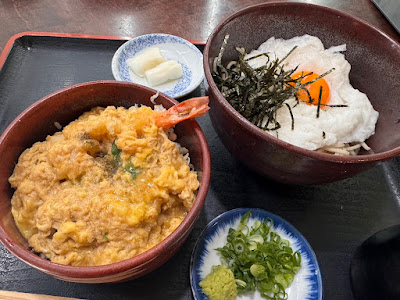 Hanashin 사진 2