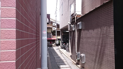 魚新 사진 4