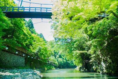 もみぢ家 川床 사진 3