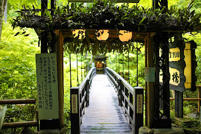 もみぢ家 川床 사진 4