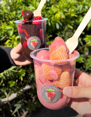 Strawberry Choco 사진 3