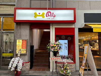 Dog Cafe Rio in KYOTO