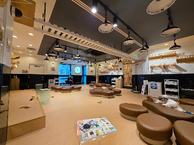 Busakawa Cafe
