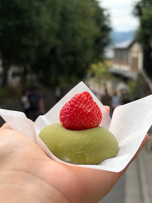 모치모치 사진 4