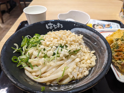 Hanamaru Udon - Kyoto Nishiki 사진 5