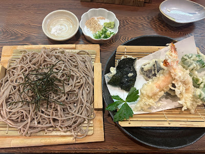 사라시나 사진 4