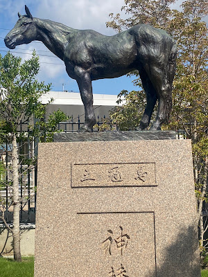 교토경마장 사진 4