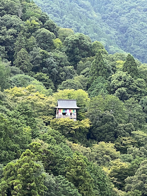 아라시야마 공원 카메야마 지구 정상 전망대 사진 4