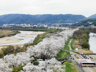 Sakura Deai Hall Watchtower 사진 4
