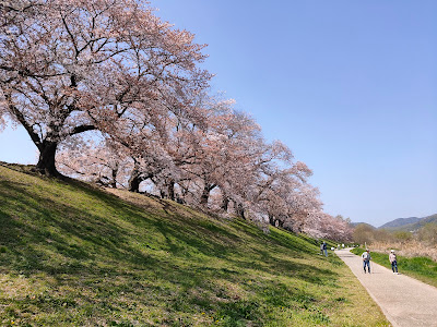 Sakura Deai Hall Watchtower