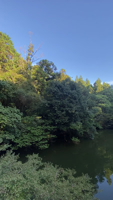 Kojingamine Observation Deck 사진 2