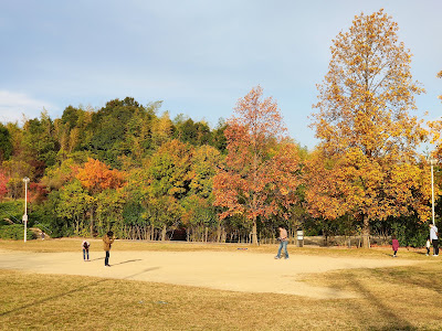 Goryo Park 사진 2