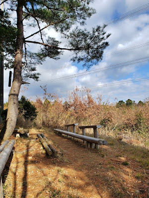 Shimamoto Observation Deck 사진 4