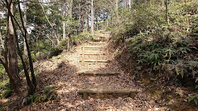 Umanose Observation Deck 사진 4