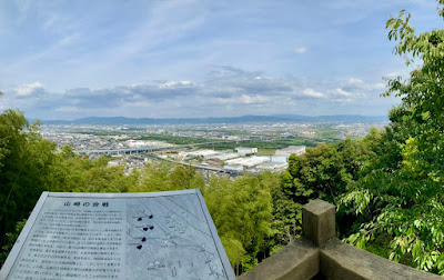 旗立松展望台 사진 3