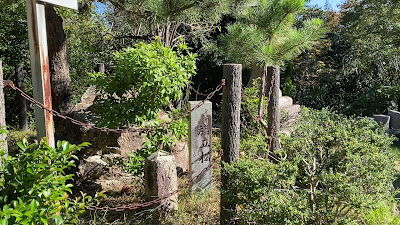 旗立松展望台 사진 2