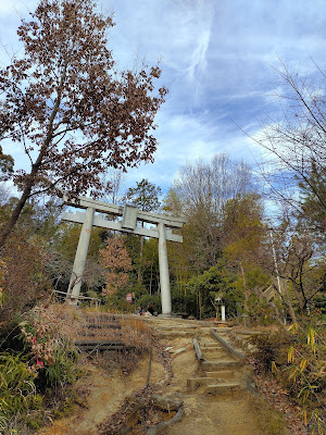 旗立松展望台 사진 5