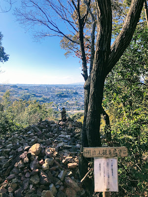 Asahiyama Kannon Observation Deck 사진 3