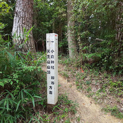 奥の山展望広場 사진 2
