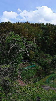 乙訓景観十景(小塩町 里山の原風景) 사진 2