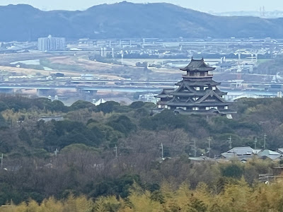 大岩山展望所 사진 3