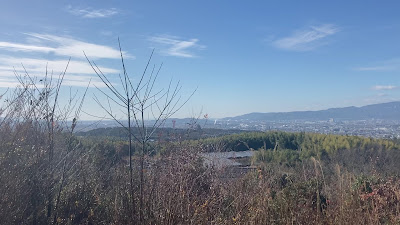 大岩山展望所 사진 2