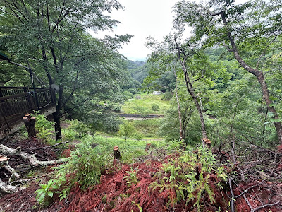 展望台 사진 3