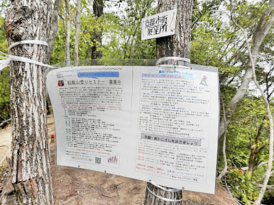 展望台東ベンチ 사진 4