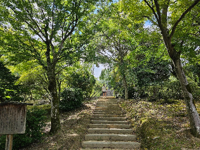 Arashiyama Park Observation Deck 사진 4