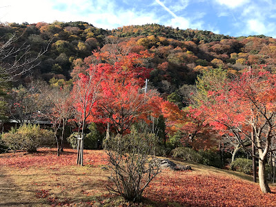 Arashiyama Park Observation Deck 사진 3