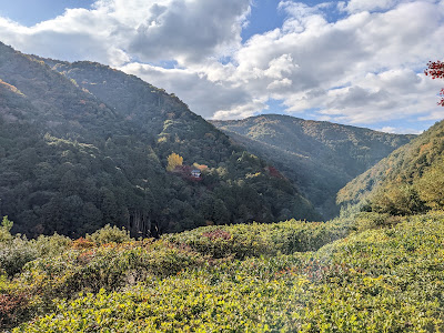 Okochi Sanso Gorge Observation Deck