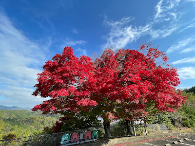 Mount Ogura Observatory 사진 5