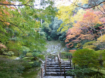 Observation Deck 사진 3