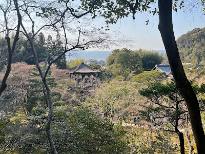 Observation Deck 사진 4