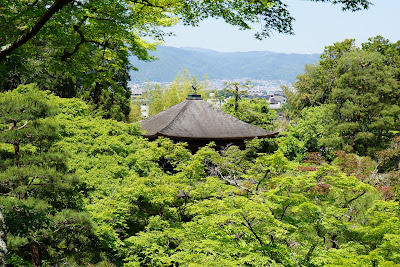 Observation Deck 사진 5