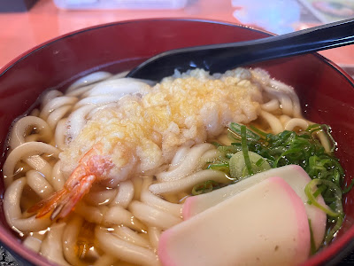 Kyo Shogoin Hayaokitei Udon 사진 4