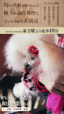 일본 요리 결연 사진 2