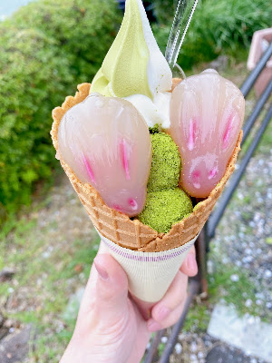 바즈 사진 3