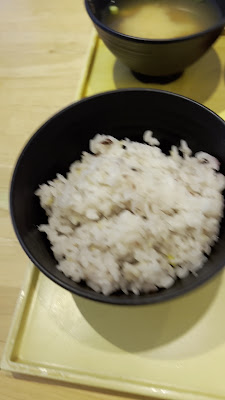 Kyosaimi Nomura 사진 2
