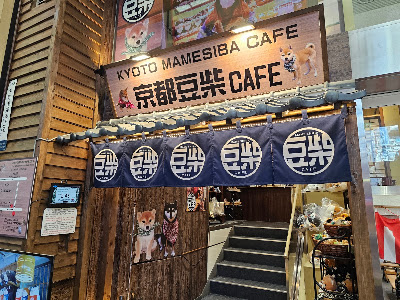 교토 마메시바 카페 사진 4