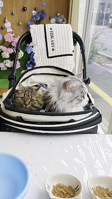 ブルスケッタ 사진 2